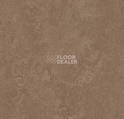 Линолеум Forbo Marmoleum Marbled Fresco 3254-325435 clay фото 1 | FLOORDEALER